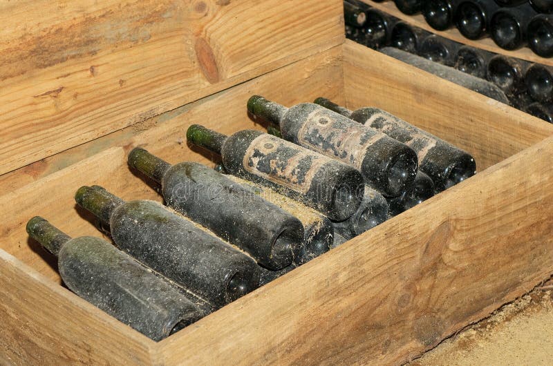 Old bottles in wine cellar