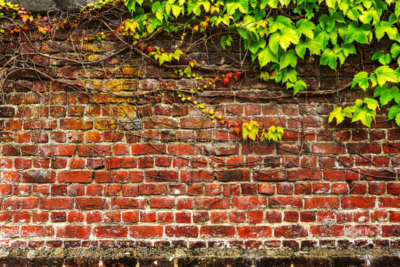 Old brick garden wall stock images
