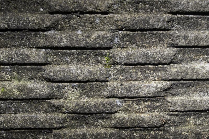 Old Brick Wall with Black Mold Stock Image Image of pattern