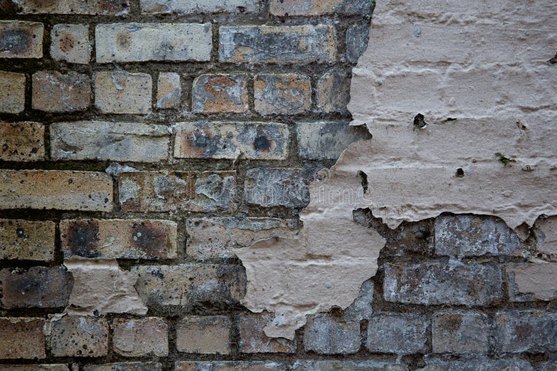 141 White Brick Black Grout Stock Photos Free & RoyaltyFree Stock