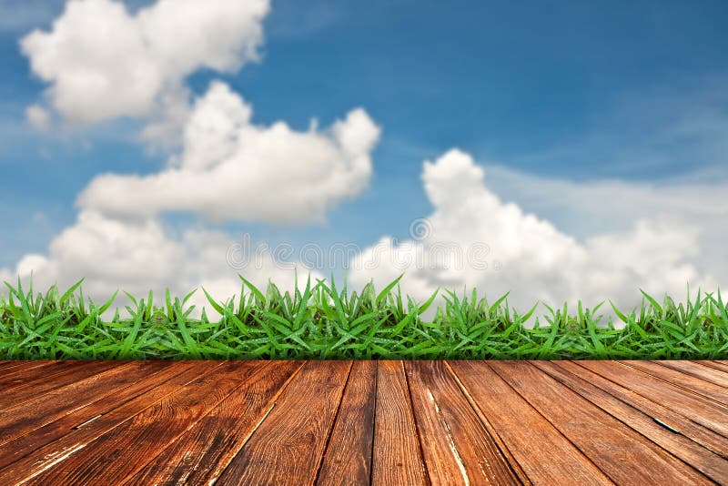 Old brick wall and green grass