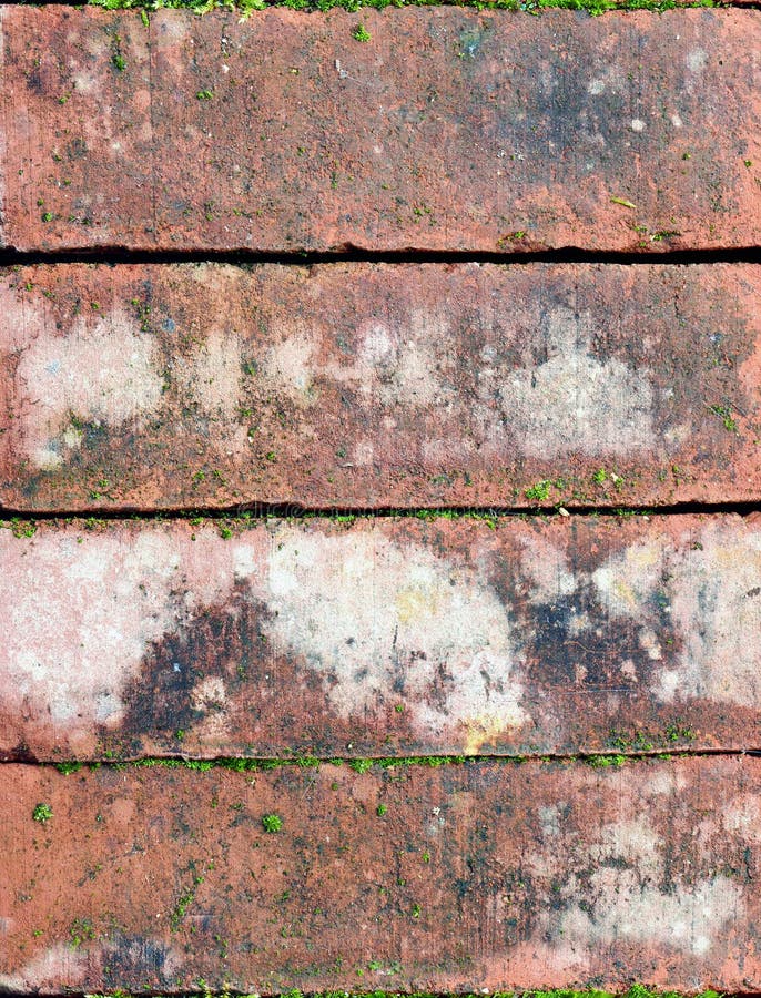 Old bricks with some moss, background texture, close up royalty free stock images