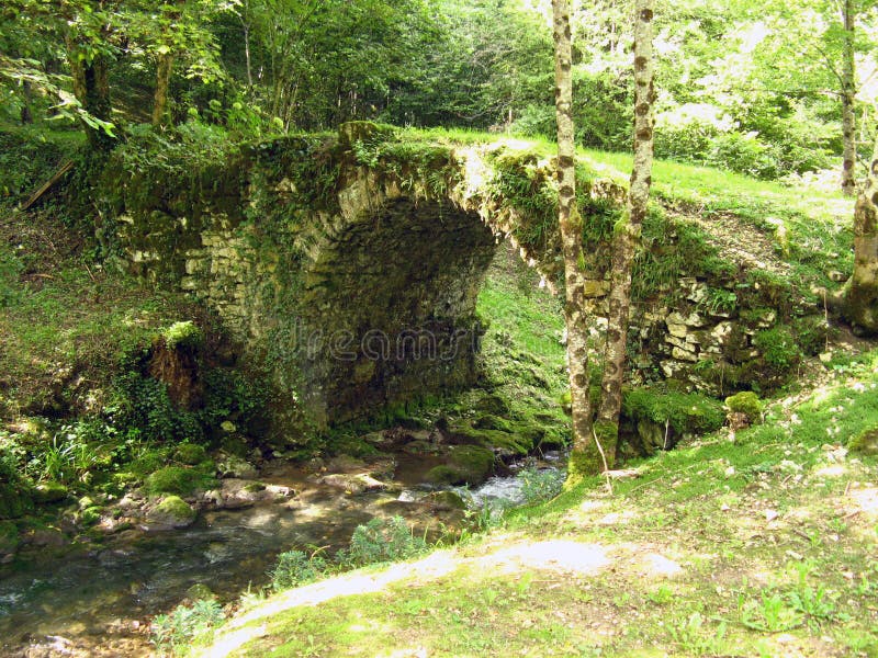 Old bridge covered by moss