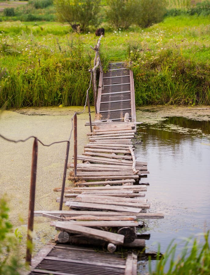 257 Broken Wood Bridge Forest Lake Photos Free And Royalty Free Stock