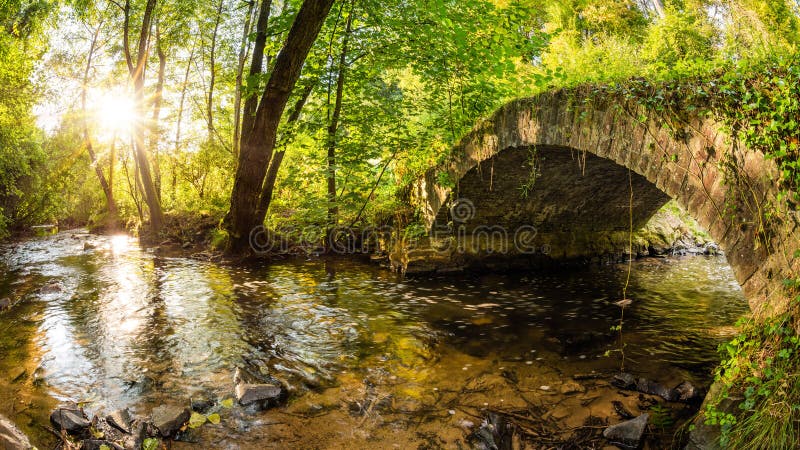 Old bridge over a creek in the forest stock images