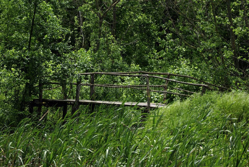 Wooden Walking Bridge Over Water Stock Image Image Of Bushes Mead