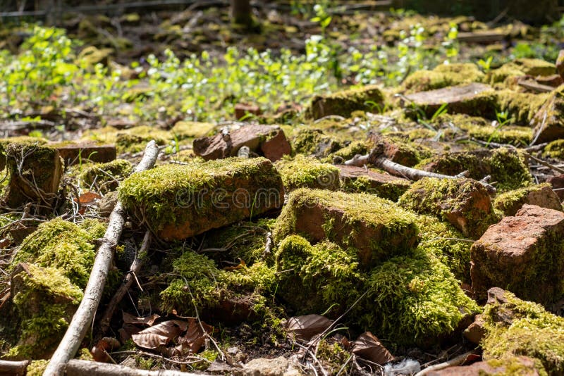 Old broken bricks covered in moss, in the undergrowth. Found in Stanmore Country Park, Middlesex UK. stock photography