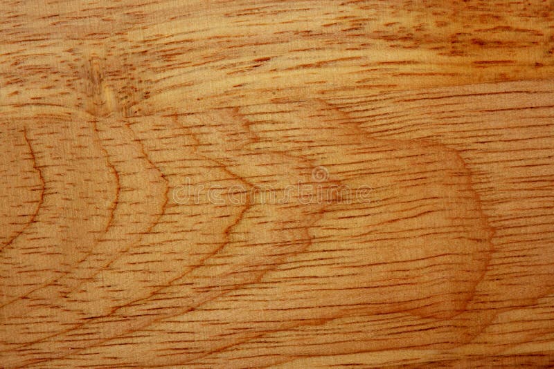 Old Brown Dried Wood Grain for the Background Stock Image Image of