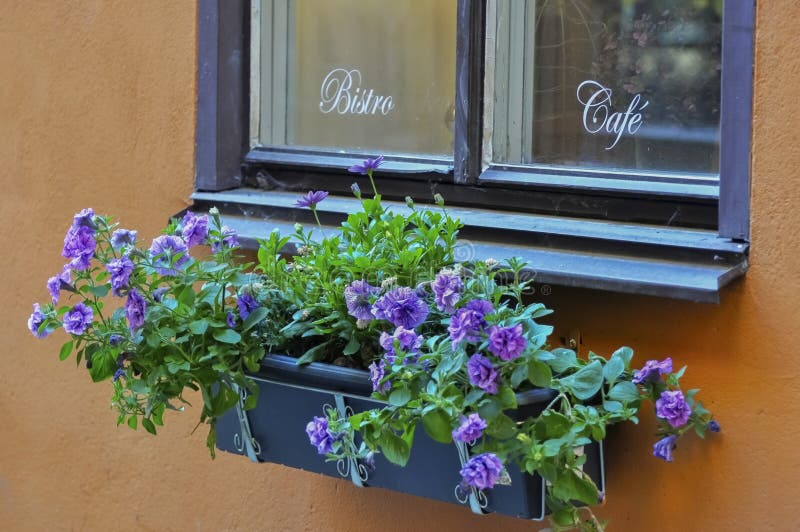 Old cafe window with flower box, on a orange stucc