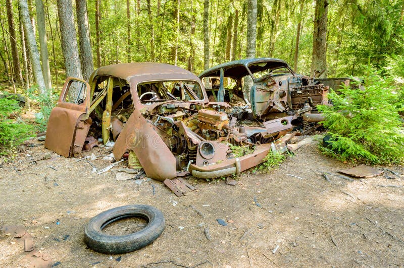 The old car cemetery