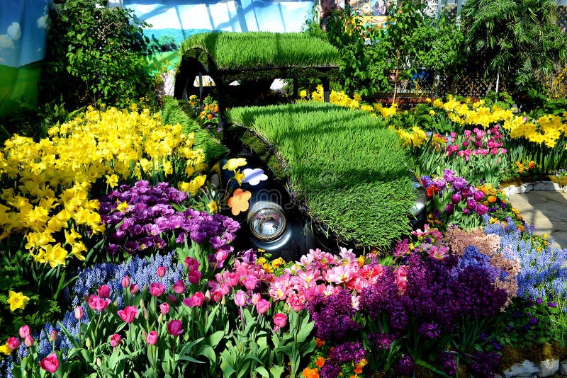 Old car in flower show.