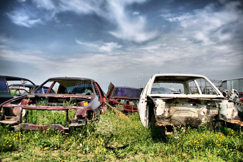 Old cars on the meadow