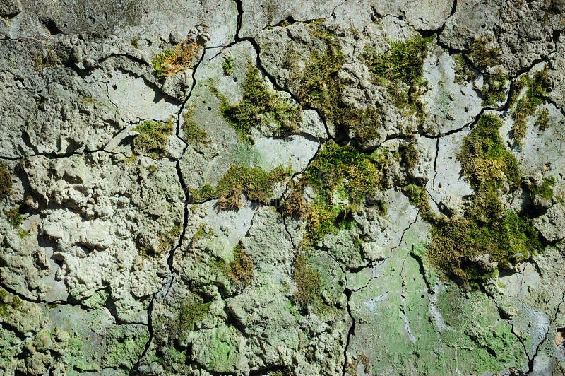 Old cement wall stock photo. Image of abstract, decay - 14088454