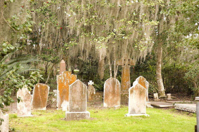 Misty Morning in the Swamp stock image. Image of moss 1703601