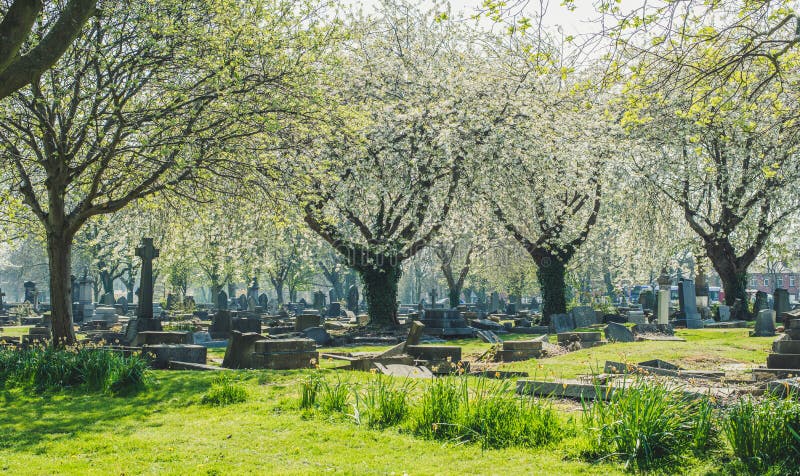 Old cemetery in spring time