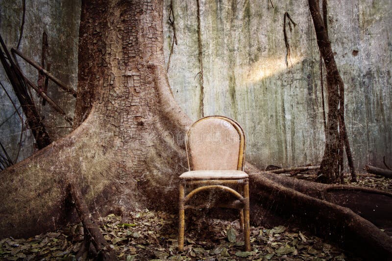 The old chair and the big tree inside the grungy room - grunge and textured