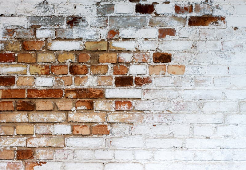 White brick wall background Royalty Free Vector Image