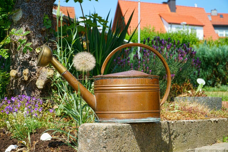 Old copper watering can stock image. Image of rusty, bucket 26374541