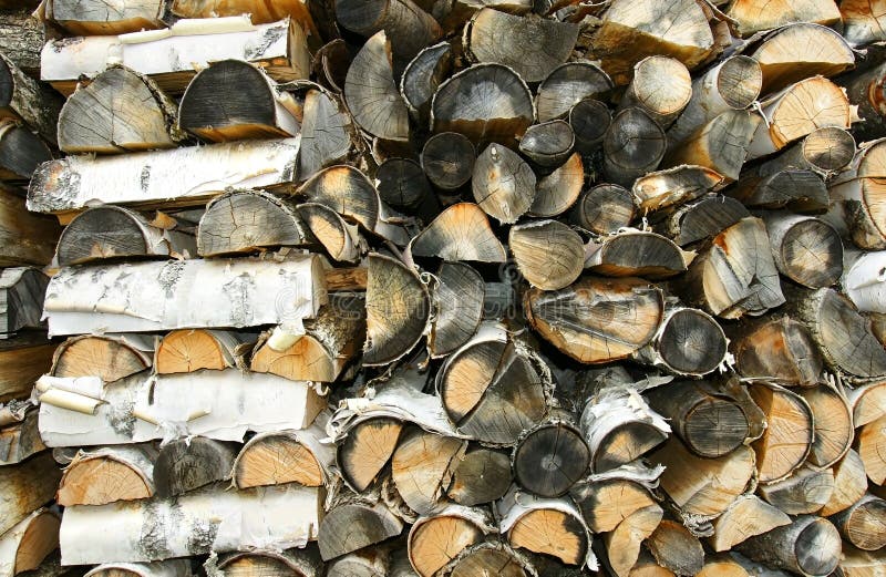 Old Cord of Paper Birch Firewood Close Up Stock Photo Image of fire, roll 15805456