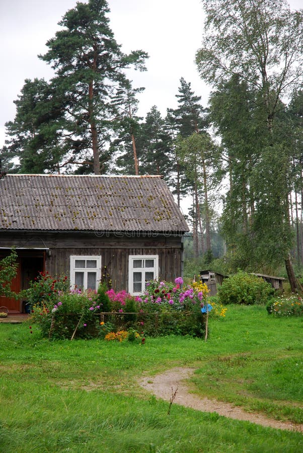 Old cottage in the woods