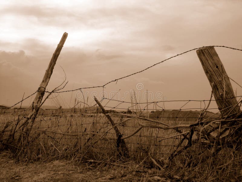 Old Country Fence