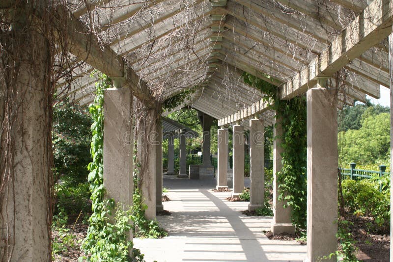 An old covered walkway with vines. Pillar column garden stock images, royalty-free photos and pictures