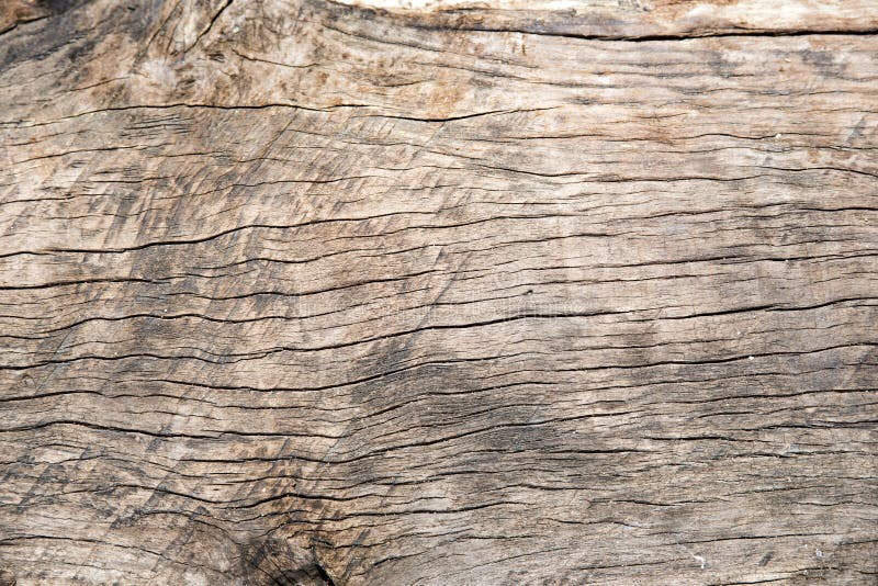 Old Cracked Wood Grain Texture Stock Photo Image of floor, grunge