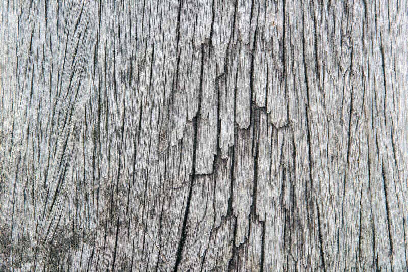 Old Cracked Wood Grain Texture Stock Image Image of design, panel