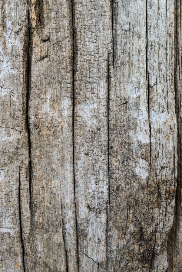 Old Cracked Wood Grain Texture Stock Photo Image of design, industry