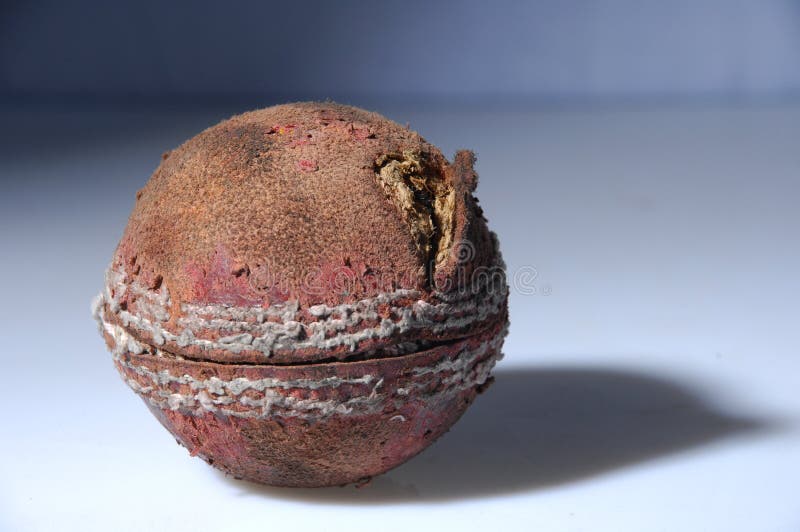 Old cricket ball stock photo. Image of round, close, used 5551542