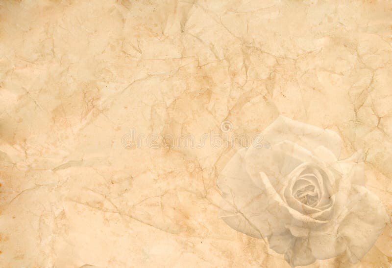 Abstract vintage background (old crumpled paper with a rose in the corner)