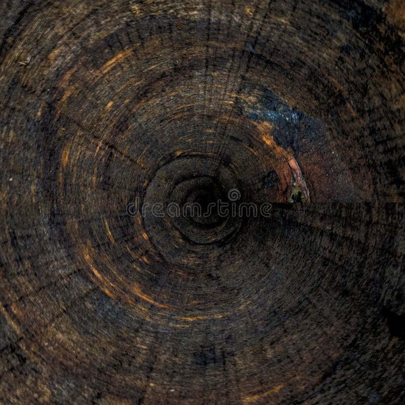 Old dark wood texture stock image. Image of grain, panel 187789701