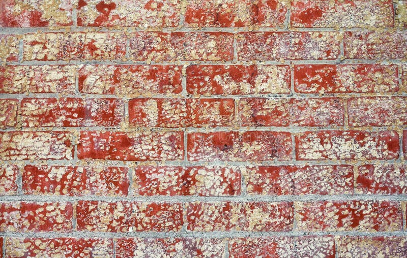 Old Dirty Brick Wall with Peeling Paint Stock Photo Image of retro