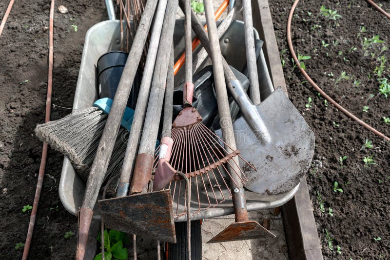 Old Dirty Garden Shovels, Rakes, Hoes in a Trolley Stock Photo - Image ...