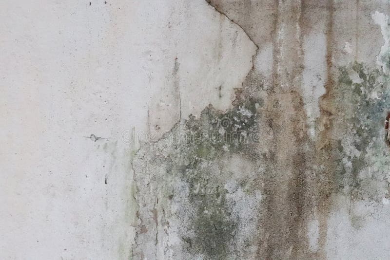 Dirty Wall, the Walls are Dirty, Full of Green and Black Stains. Stock Photo - Image of gray, design: 168664608 Dirty Wall, the Walls are Dirty, Full of Green and Black Stains. Stock Photo - Image of gray, design: 168664608