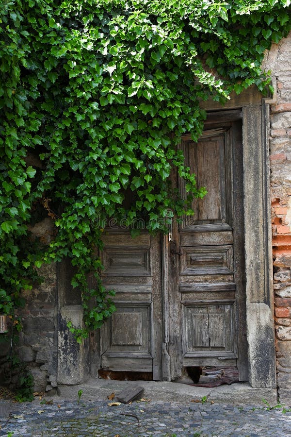 Old Doors Under Tree Light Colored Stock Image Image of wood, stone