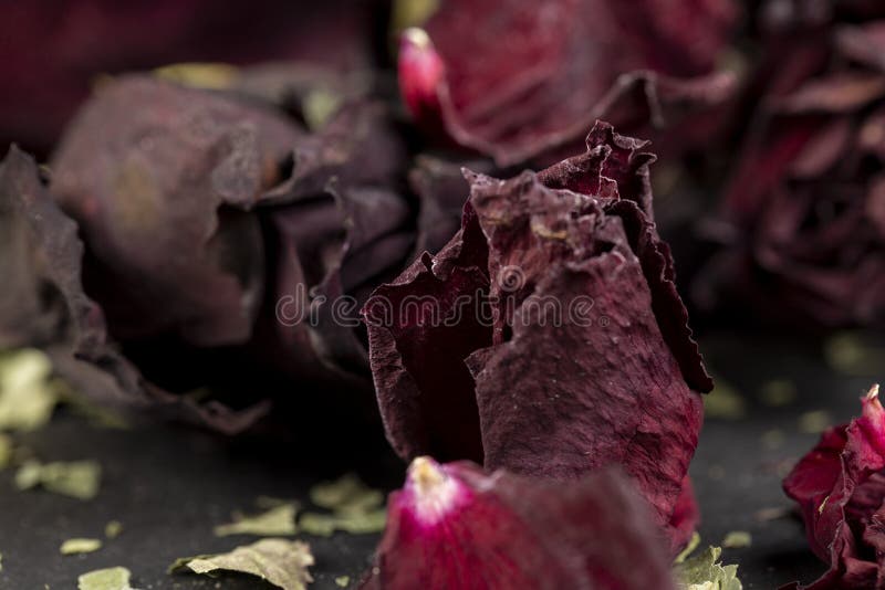 11,563 Dry Petals Rose Stock Photos - Free & Royalty-Free Stock Photos from  Dreamstime