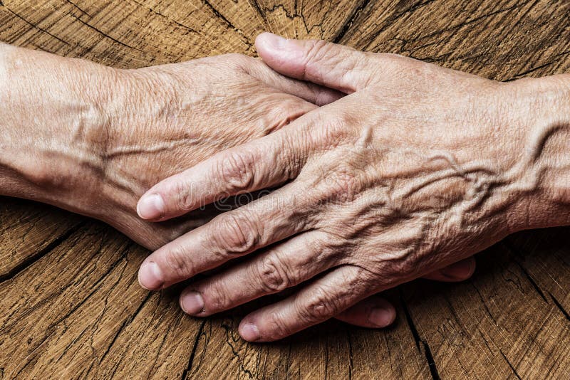 Old elderly hands and old tree