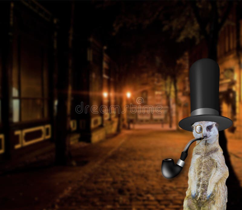Old english funny concept of a posh meerkat wearing a vintage top hat and standing in the city streets royalty free illustration Old english funny concept of a posh meerkat wearing a vintage top hat and standing in the city streets royalty free illustration
