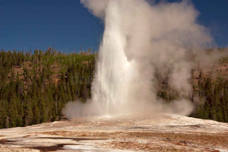 Old Faithful