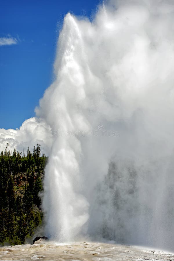 Old Faithful with Steam and Vapor in Yellowstone National Park stock photo Old Faithful with Steam and Vapor in Yellowstone National Park stock photo