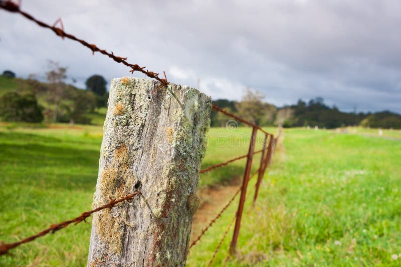 Old farm fence. stock image. Image of view, estate, barbed 39733265
