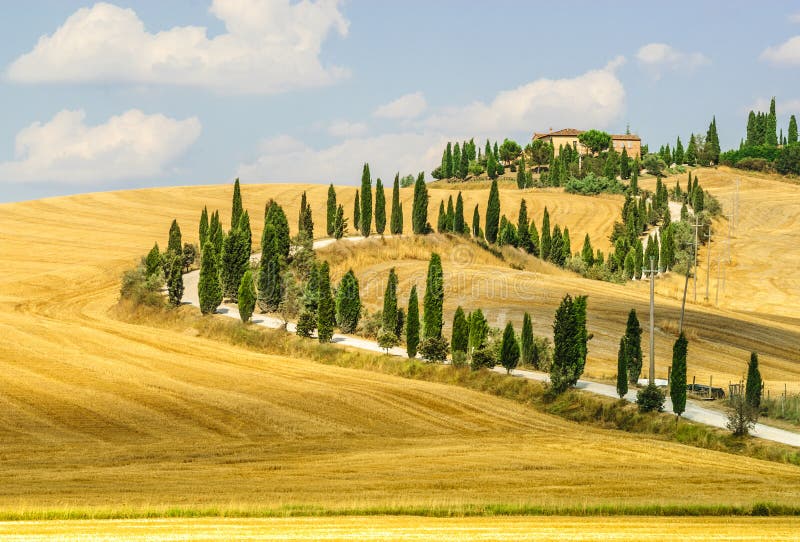 Old farm in Val d Orcia (Tuscany)