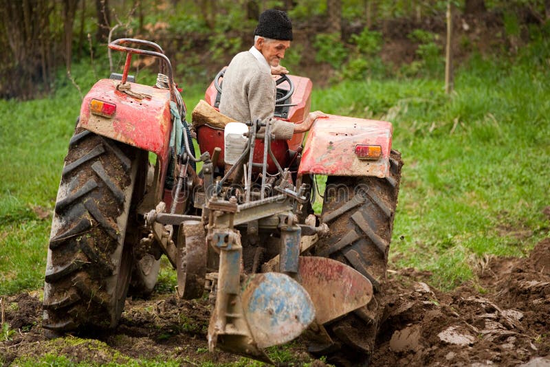 Old farmer plowing stock photo