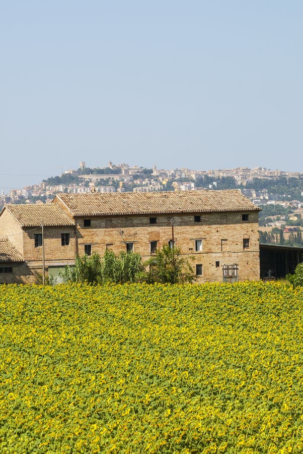 Download Old Farmhouse And Panorama Of Osimo Stock Photo - Image of hill, house: 29078026