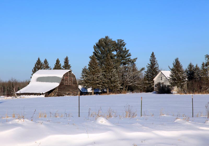 Old Farmstead in Northern Minnesota Stock Photo Image of fence, tree