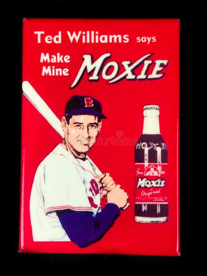 Ted Williams Root Beer FRIDGE MAGNET soda sign boston red sox 