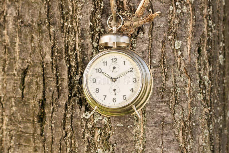 Old Fashioned Clock Hanged on a Tree Stock Photo Image of environment