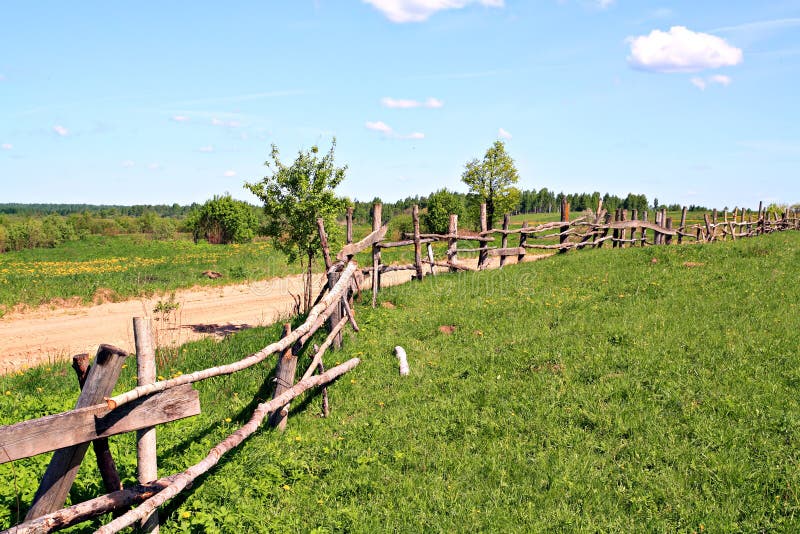 Old fence