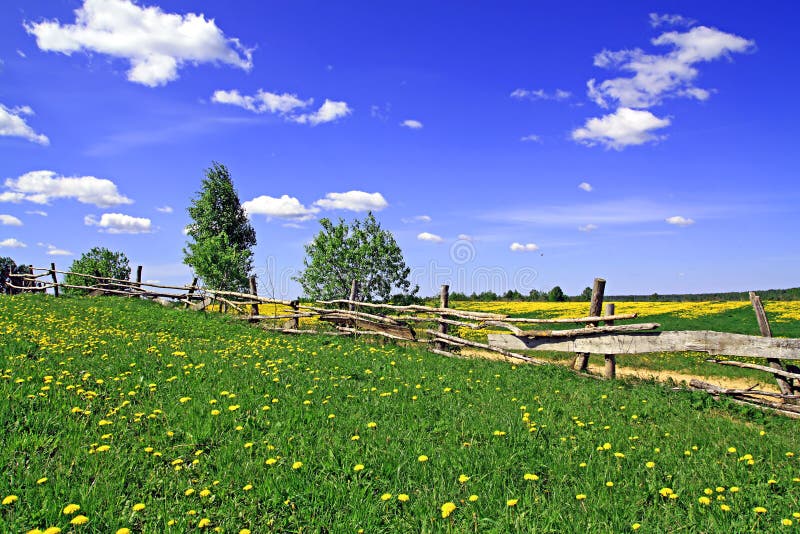 Old fence